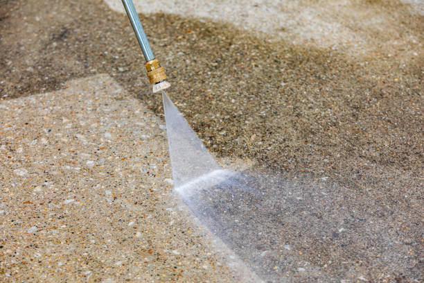 Best House Exterior Washing  in Mayo, SC