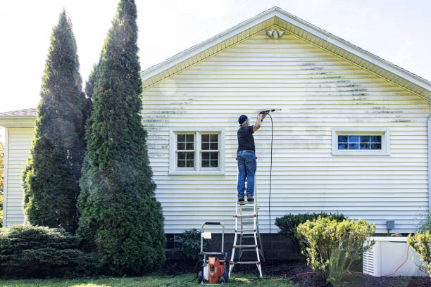 Animal Enclosure Cleaning in Mayo, SC
