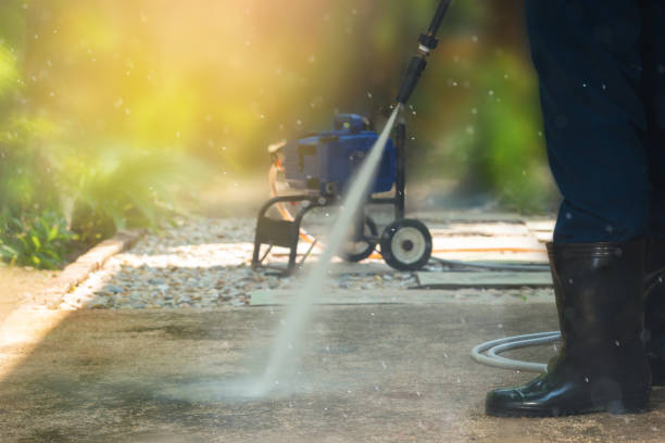 Trusted Mayo, SC Pressure Washing Services Experts